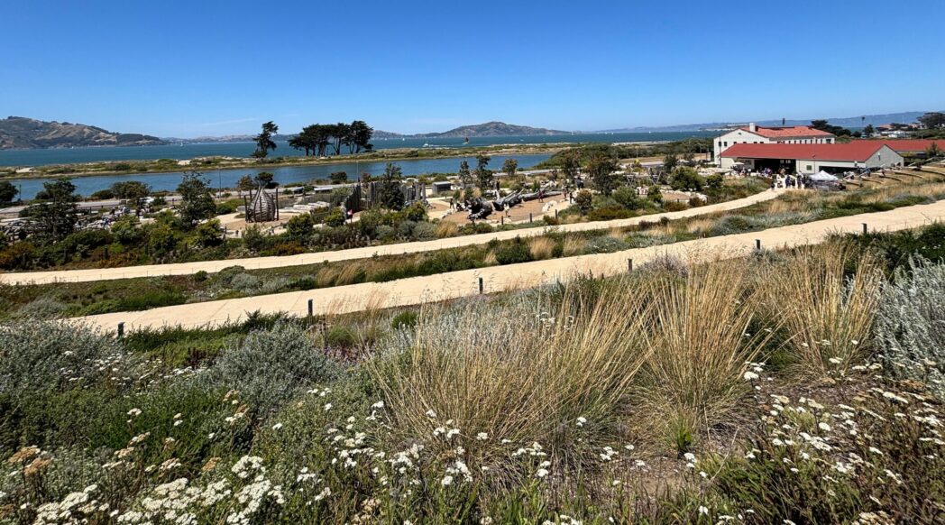 A view of the Presidio Tunnel Tops and the Bay with blue skies above